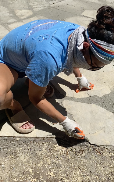 entryway reworked with simple, sustainable storage